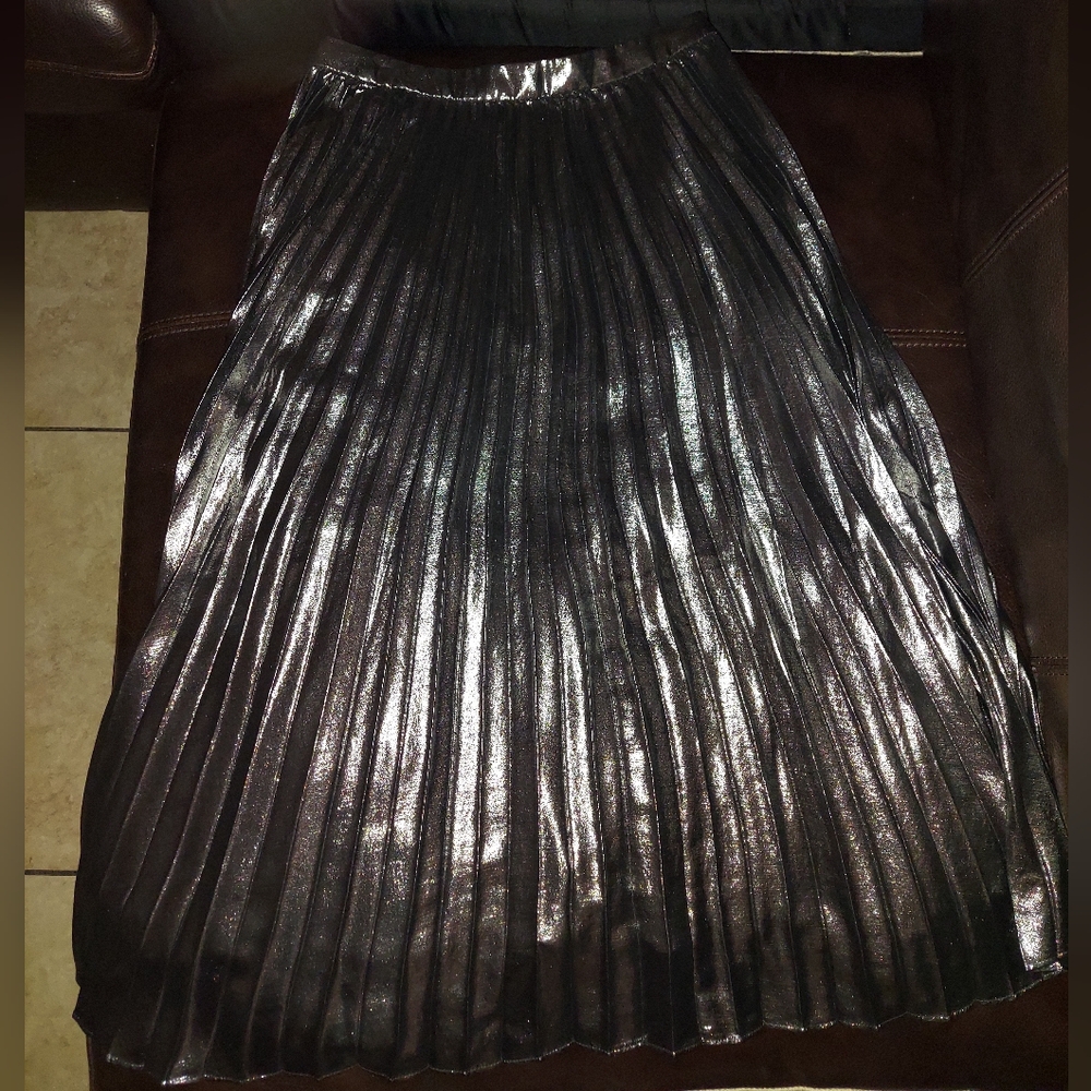 Banana Republic Dark Silver Pleated Skirt